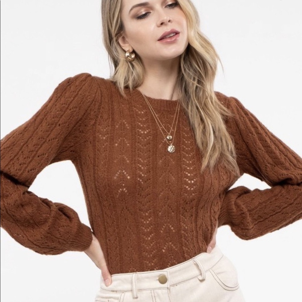 NWT Brown Knit Sweater